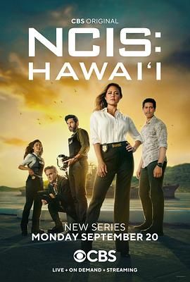 海军罪案调查处：夏威夷 第一季手机电影