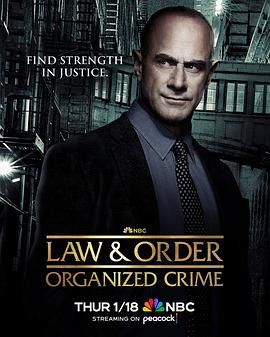 法律与秩序：组织犯罪 第四季手机电影