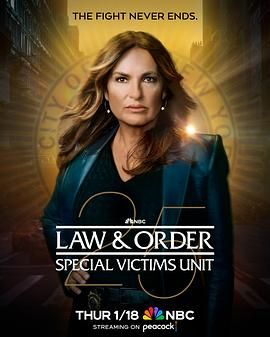 法律与秩序：特殊受害者 第二十五季手机电影