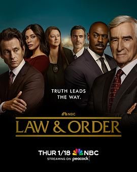 法律与秩序 第二十三季手机电影