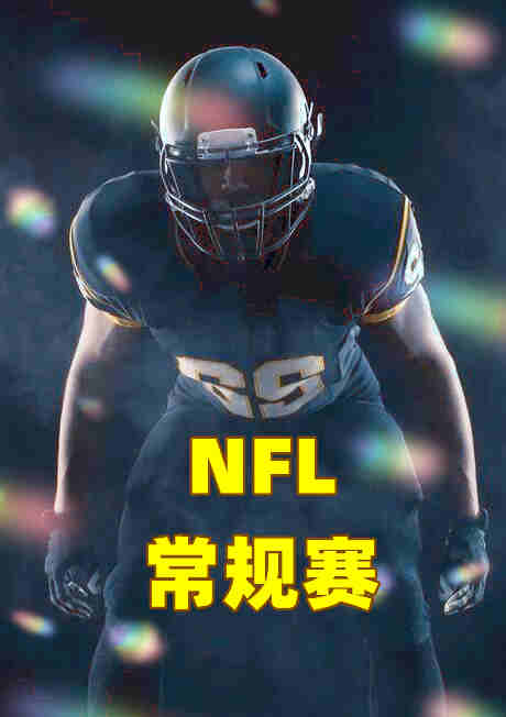 NFL常规赛-乌鸦vs圣徒-20221108