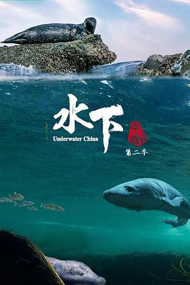 水下中国 第二季手机电影